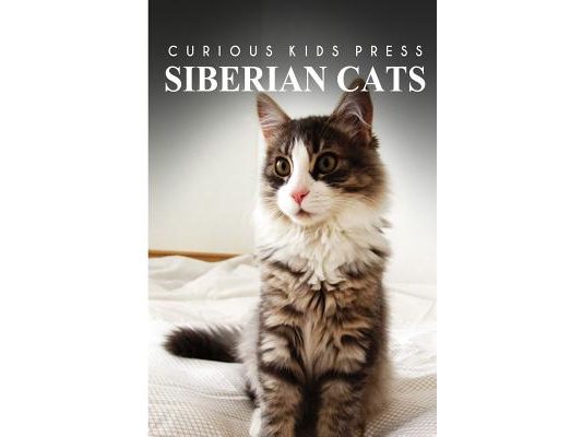 Siberian Cats - Curious Kids Press: Kids book about animals and wildlife, Children's books 4-6