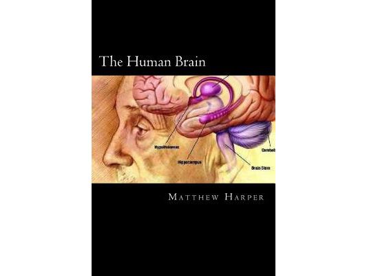 The Human Brain: A Fascinating Book Containing Human Brain Facts, Trivia, Images & Memory Recall Quiz: Suitable for Adults & Children