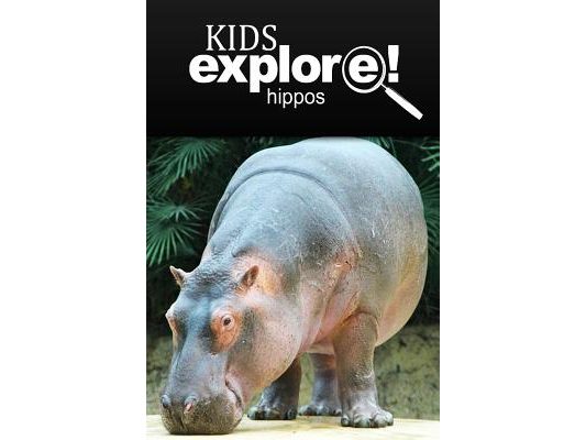 Hippos - Kids Explore: Animal books nonfiction - books ages 5-6