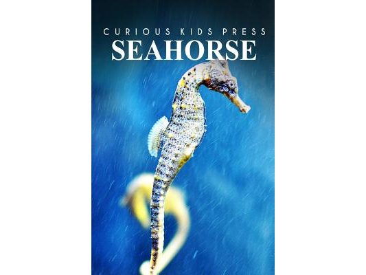 Seahorse - Curious Kids Press: Kids book about animals and wildlife, Children's books 4-6