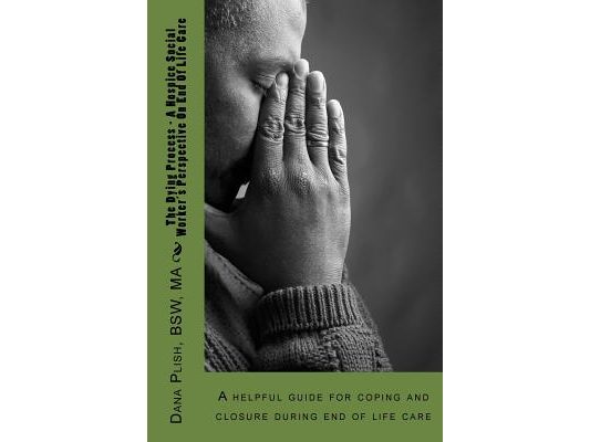 The Dying Process - A Hospice Social Worker's Perspective On End Of Life Care: A helpful guide for coping and closure during end of life care