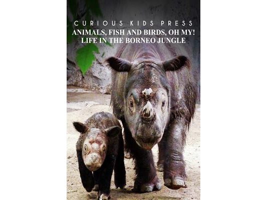 Animals, Fish and Birds, Oh My! Life In The Borneo Jungle - Curious Kids Press: Kids book about animals and wildlife, Children's books 4-6