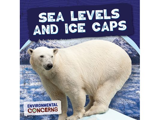 Sea Levels and Ice Caps
