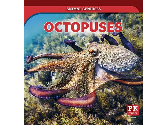 Octopuses