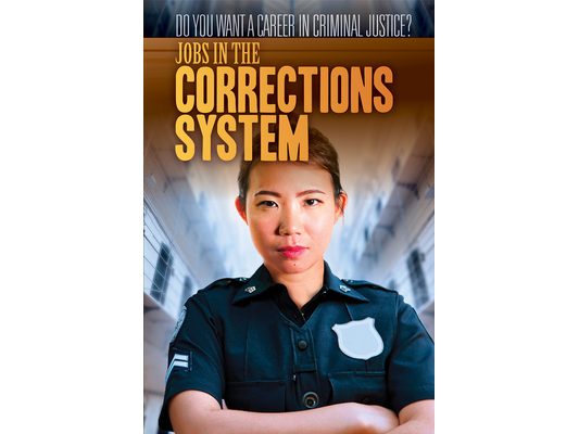 Jobs in the Corrections System