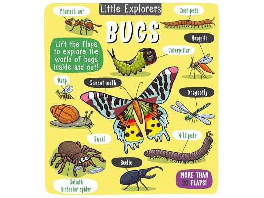 Little Explorers: Bugs