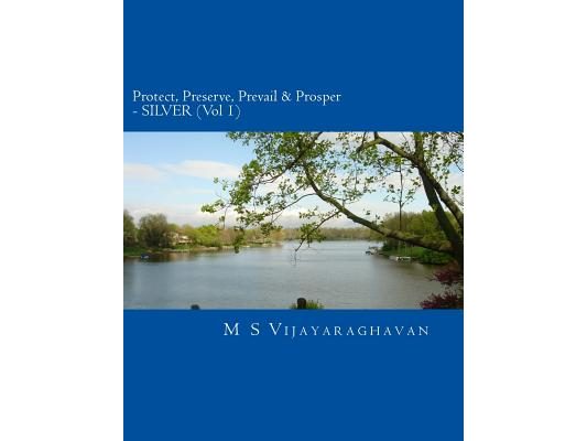 Protect, Preserve, Prevail and Prosper - Vol 1 SILVER: Business Protection and Recovery from Disasters