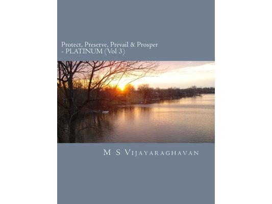 Protect, Preserve, Prevail and Prosper - PLATINUM (Vol 3): Business Protection Compendium from Disasters