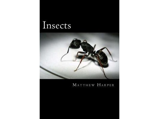 Insects: A Fascinating Book Containing Insect Facts, Trivia, Images & Memory Recall Quiz: Suitable for Adults & Children