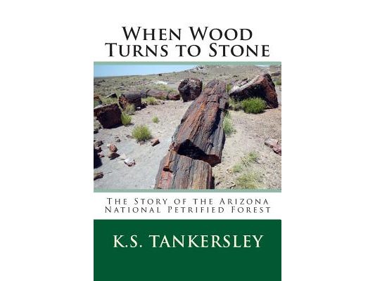When Wood Turns to Stone: The Story of the Arizona National Petrified Forest