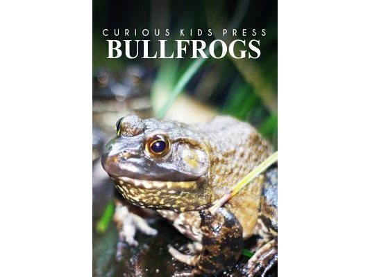 Bullfrogs - Curious Kids Press: Kids book about animals and wildlife, Children's books 4-6