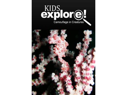 Camouflage In Creatures - Kids Explore: Animal books nonfiction - books ages 5-6