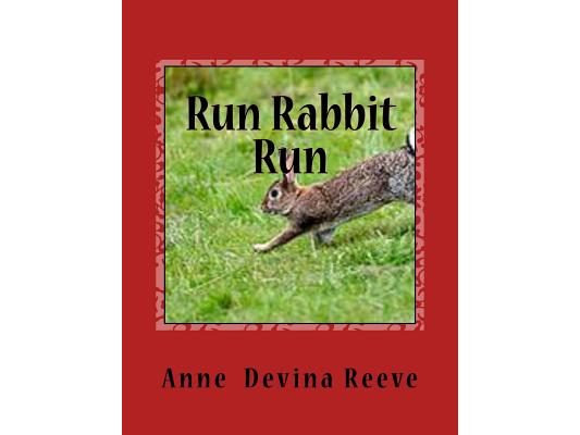 RUN RABBIT RUN by ANNE DEVINA REEVE: World War 11 Anna and her Gang discover strange things happening