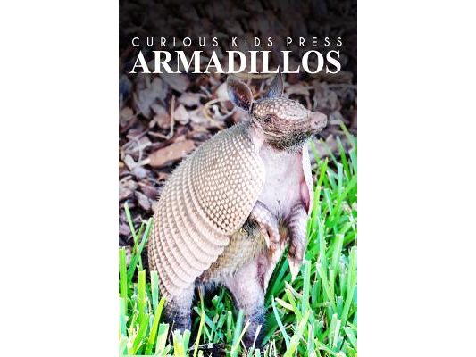 Armadillos - Curious Kids Press: Kids book about animals and wildlife, Children's books 4-6