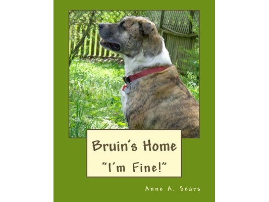 Bruin's Home (Book 3): Adjustments