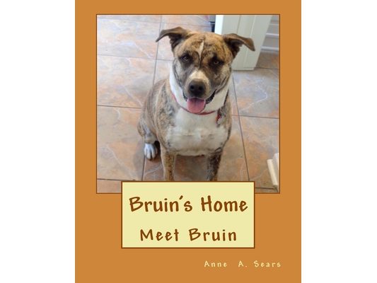 Bruin's Home: Meet Bruin