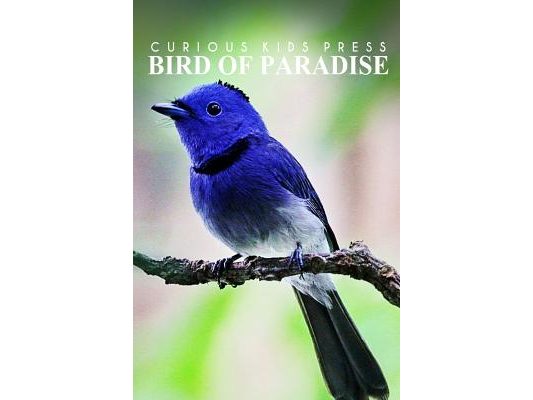Birds Of Paradise - Curious Kids Press: Kids book about animals and wildlife, Children's books 4-6