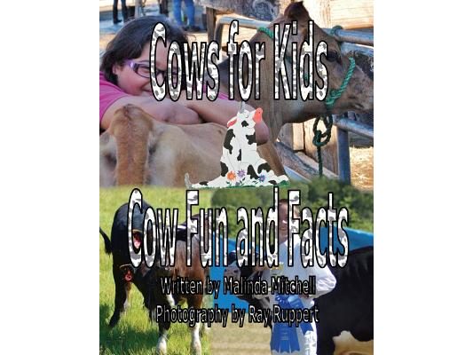 Cows for Kids Cow Fun and Facts