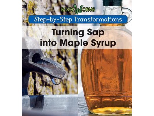 Turning SAP Into Maple Syrup