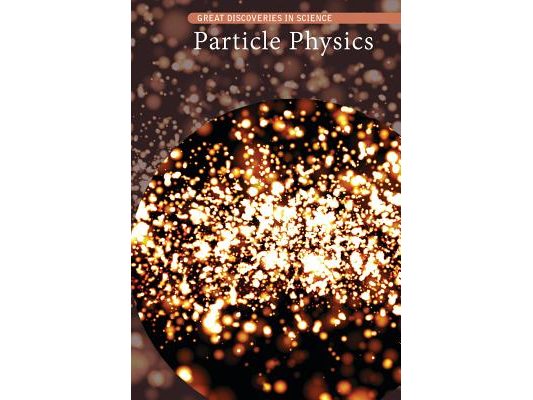Particle Physics