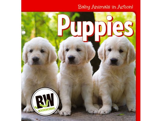 Puppies