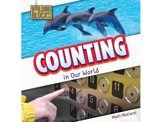 Counting in Our World