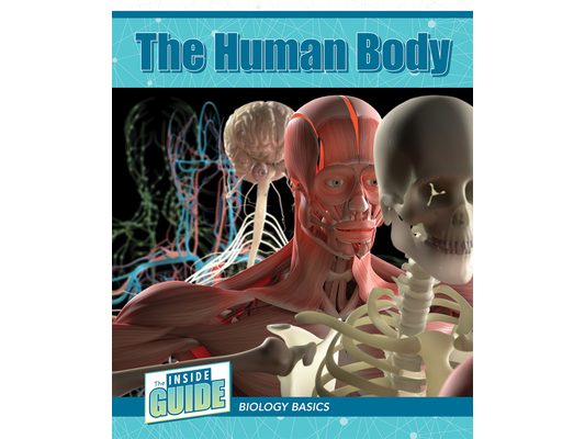 The Human Body