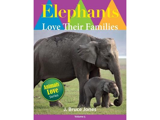 Elephants Love Their Families