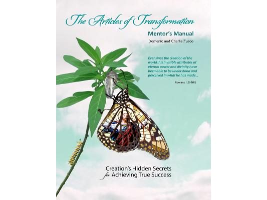 Articles of Transformation Mentor's Manual