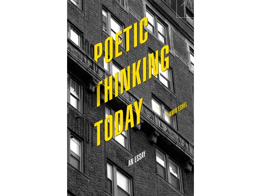 Poetic Thinking Today: An Essay
