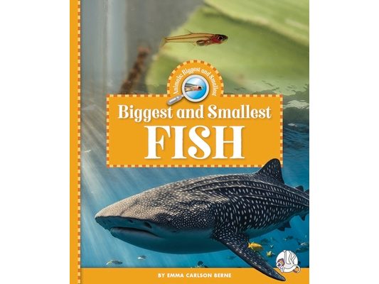 Biggest and Smallest Fish