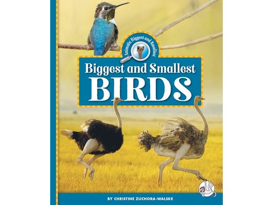 Biggest and Smallest Birds