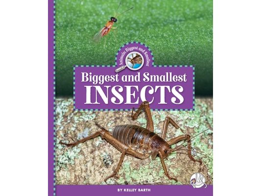 Biggest and Smallest Insects