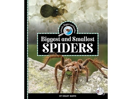 Biggest and Smallest Spiders
