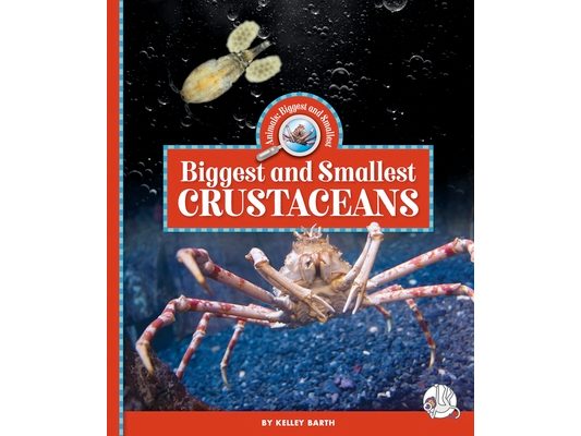 Biggest and Smallest Crustaceans