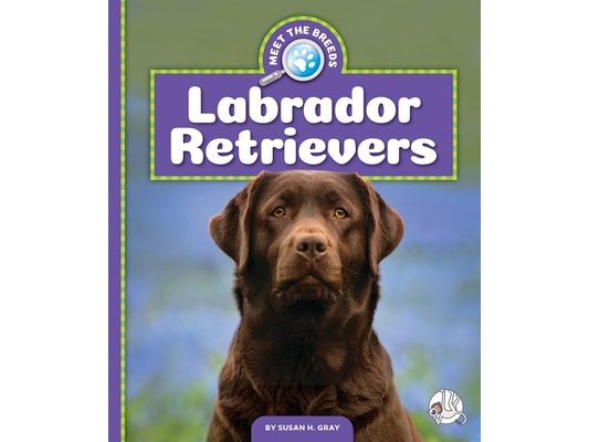 Labrador Retrievers