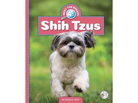 Shih Tzus