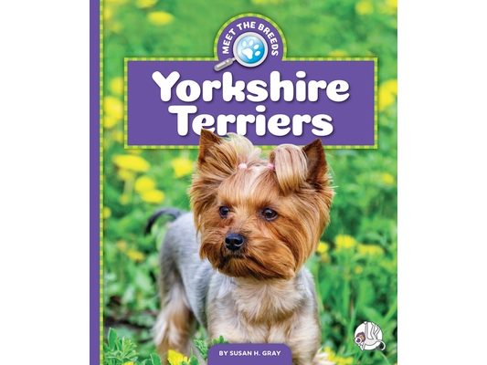 Yorkshire Terriers