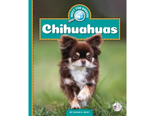 Chihuahuas