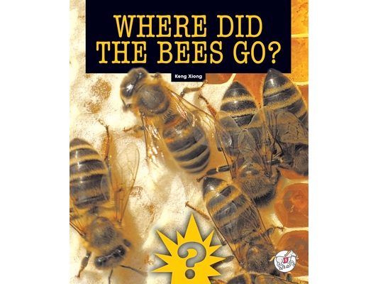 Where Did the Bees Go?