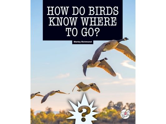 How Do Birds Know Where to Go?