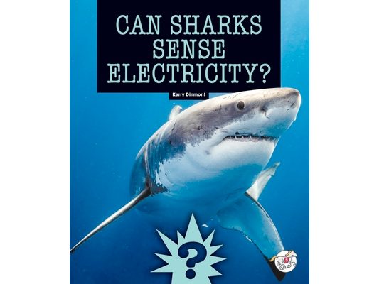 Can Sharks Sense Electricity?
