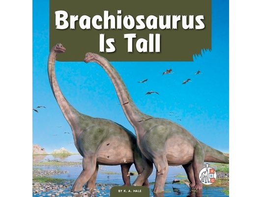 Brachiosaurus Is Tall