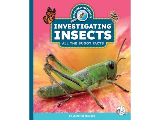 Investigating Insects: All the Buggy Facts