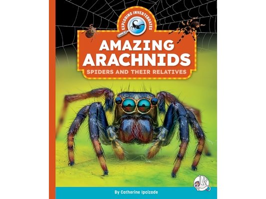 Amazing Arachnids: Spiders and Their Relatives