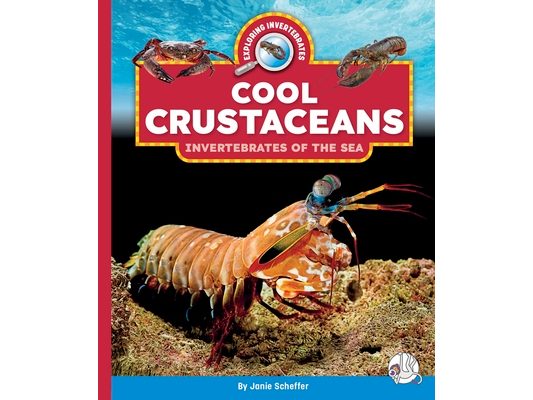 Cool Crustaceans: Invertebrates of the Sea