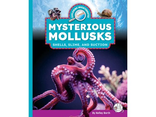 Mysterious Mollusks: Shells, Slime, and Suction