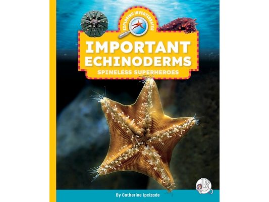 Important Echinoderms: Spineless Superheroes