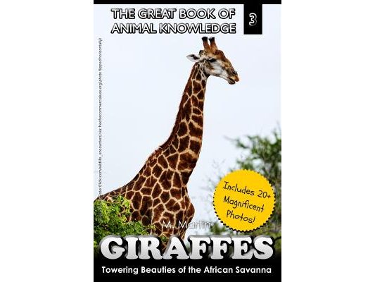 Giraffes: Towering Beauty of the African Savanna