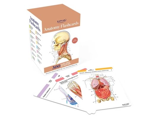 Anatomy Flashcards: 300 Flashcards with Anatomically Precise Drawings and Exhaustive Descriptions